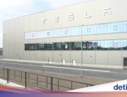 Elon Musk Batal Bikin Pabrik Mobil Listrik Tesla Di Thailand Ini Alasannya