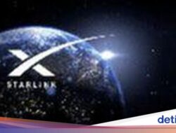 Elon Musk Untuk Jaringan Starlink Gratis, APJII Beri Tanggapan