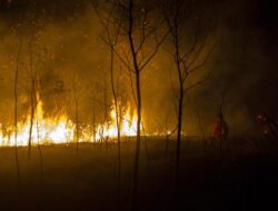 BMKG Bongkar Penyebab Titik Panas Hingga Kalimantan Meresahkan Drastis