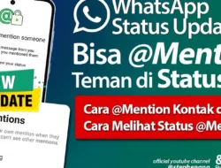 WhatsApp Luncurkan Fitur Like dan Mention Ke Status