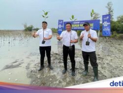 Protes Restorasi Bumi Telkom Perbaiki Pantai Ikonik Di Ancaman Abrasi