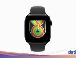 Apple Watch Siapkan Cincin Kegiatan Edisi Terbatas, Ini Cara Dapatnya