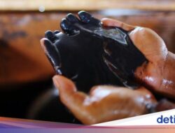 China Ancam Korsel Jangan Penjualan Barang Di Luar Negeri Produk Tanah Jarang Di AS