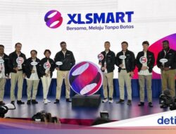 Strategi XLSmart Di Sebab Itu Operator Seluler Dicintai Untuk 2 Tahun Lagi
