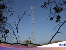 Undang-Undang Komunikasi Sudah Usang, Google Cs Untung yang Lain Buntung