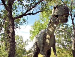 Studi Ungkap Nenek Moyang T-rex Untuk Asia, Lalu Hijrah Di Amerika