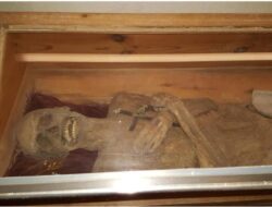 Studi Mutakhir Ungkap Misteri Pengawetan Mumi Austria