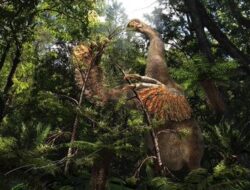 Spesies Dinosaurus Misterius Terdeteksi lewat Fosil Cakarl Besar