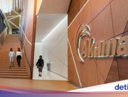 Akamai Cloud Inference Tawarkan Solusi Mudah Pembuatan AI