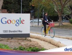 Google Habiskan Rp 38 Triliun Untuk Rekrut Pemuda India Pakar AI