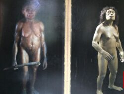 Batu Ini Ungkap Keberadaan Tetangga Misterius Manusia Hobbit Indonesia