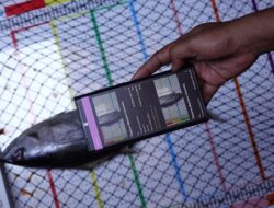Ilmu Pengetahuan AI FishFace, Bantu Nelayan Data Ikan dan Awasi Stok
