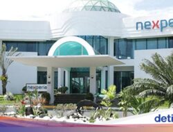 Belanda Rebut Paksa Perusahaan Chip China, Kenapa?