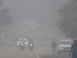 New Delhi Berencana Diguyur Hujan Bersejarah Pekan Di, Ada Apa?