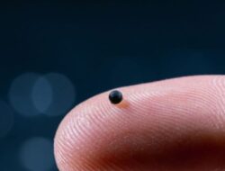 Fantastis! Android Kapal Selam 2mm Sukses Renang Ke Darah Babi, bisa Antar Perawatan Lewat Pembuluh Darah