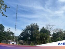 Perkuat Infrastruktur Digital 3T Lewat Apresiasi Konektivitas Digital