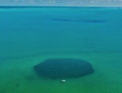 Dunia Bawah Laut Purba Karena Itu Kunci Bukti Peradaban Kuno