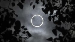 Ada Gerhana Matahari Cincin 17 Februari, Dapat Dilihat Ke Mana Saja?