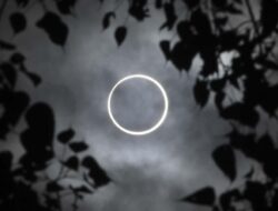 Ada Gerhana Matahari Cincin 17 Februari, Dapat Dilihat Ke Mana Saja?
