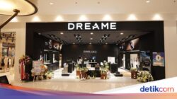 Perdagangan Elektronik Dominan, Dreame tetap Tambah Toko Offline Mutakhir