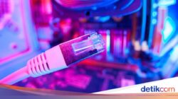 24 Hari Tanpa Duniamaya, Pemadaman Jaringan Iran Karena Itu yang Terparah Di Dunia