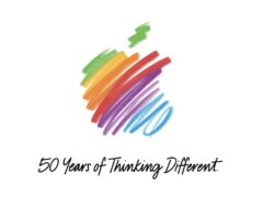 Surat Emosional Regu Cook dan Rahasia Bertahan Hingga Industri yang Kejam