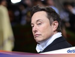 Namibia Tolak Starlink, Alasannya Tidak Diungkap