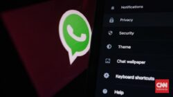 Cara agar WhatsApp Tak Mudah Hingga-Hack, Aktifkan Fitur-fitur Ini