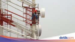 Lelang Frekuensi 700 MHz dan 2,6 GHz Dibuka, Ini Kata Telkomsel-Indosat-XLSmart
