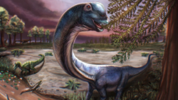Fosil Dinosaurus Terbesar Asia Tenggara Ditemukan Ke Thailand
