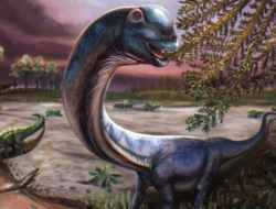 Fosil Dinosaurus Terbesar Asia Tenggara Ditemukan Ke Thailand