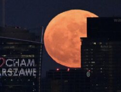 Melihat Pesona Flower Moon Di Penjuru Dunia