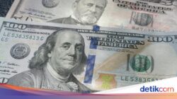 Orang Ini Diramal Segera Didalam Sebab Itu Triliuner Pertama Sepanjang Sejarah