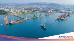 Telkomsat Perkuat Usaha Data Maritim, AIS Data Dari Sebab Itu Senjata Terbaru Industri