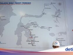 Palapa Ring Di Masih Bermasalah, Satria-1 Dikerahkan