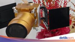 NQI Gandeng StarWiz Untuk Kembangkan Satelit Radar