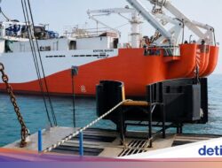 Proyek Kabel Laut Rising 8 Rampung, Triasmitra Bidik Rp 1 Triliun Ke 2026
