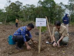 Orangutan Tapanuli Sisa 800 Ekor, Habitat Batang Toru Direstorasi