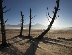 El Nino Super Diperkirakan Picu Kerugian Ratusan Triliun Di Afrika