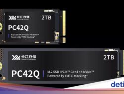 Merk SSD China Mulai Naik Daun, Saingi Samsung, WD, Dkk