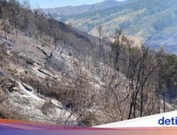 Bukan Sekadar Foto, Satelit Telkomsat Bisa Pantau Karhutla hingga Detail