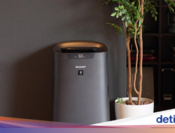 Imbas Abu Anak Krakatau, Penjualan Air Purifier Sharp Naik 3 Kali Lipat