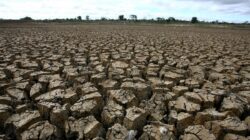Pakar Ungkap Penyebab Kejadian Luar Biasa Retakan Tanah Ke Kalimantan